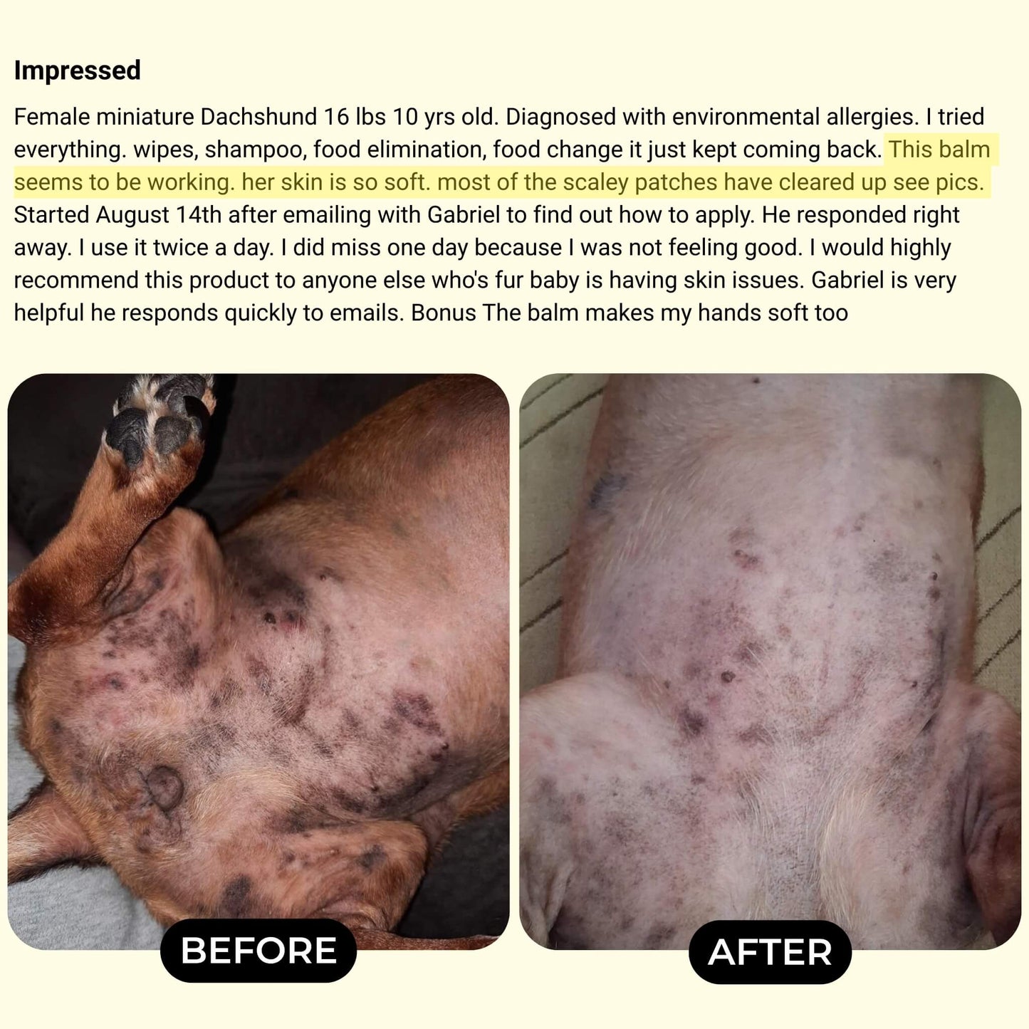 Original Lick-Safe Balm For Dry, Itchy, & Irritated Skin