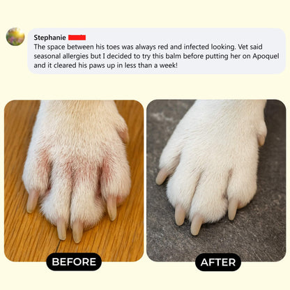 Original Lick-Safe Balm For Dry, Itchy, & Irritated Skin