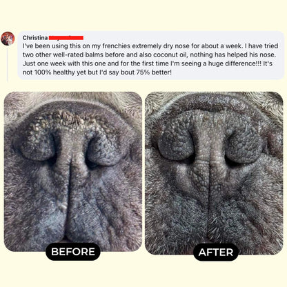 Original Lick-Safe Balm For Dry, Itchy, & Irritated Skin